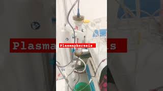 Plasmapheresis  T amp E Plasma transfusion During Dialysis  Kidney Disease  shortsfeedviralshort [upl. by Nnovahs555]