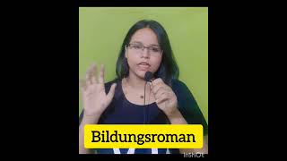 bildungsroman meaning and example englisliterature terminologyshortvideo radhikatripathi5396 [upl. by Seyah475]