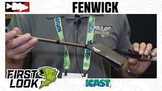 Daiwa Tatula casting rod Fenwick Eagle spinning rod [upl. by Meehar]