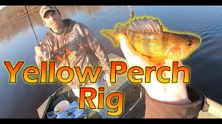 My FAVORITE Yellow Perch Rig Maryland Yellow Perch Fishing 2020 [upl. by Arriet111]