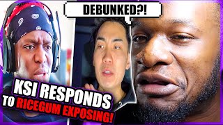 KSI RESPONDS TO RICEGUM  Responding to Ricegum REACTION [upl. by Winslow]