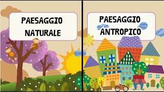 IL PAESAGGIO NATURALE E ANTROPICO  Geografia per i bambini  Maestra Emy [upl. by Stelle]