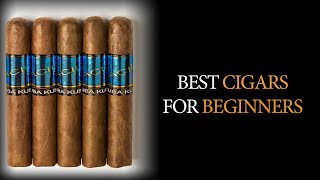 Best Cigars for Beginners [upl. by Assennev495]