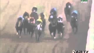 Insane Greatest Jockey Fight Of All Time  Sick [upl. by Ellohcin]