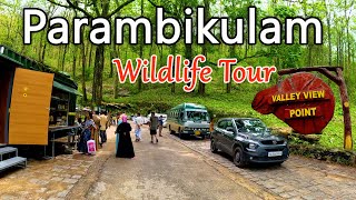 பரம்பிக்குளம் வனவிலங்கு சரணாலயம் சுற்றுலா  Parambikulam Wildlife Tourism I gptamil vlogz [upl. by Hancock]