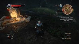 The Witcher 3 Wild Hunt Practicum In Advanced Alchemy Part 1 [upl. by Aissatsana]