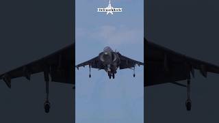 Hawker Siddeley AV8B Harrier Landing Maneuvers [upl. by Laehcimaj]