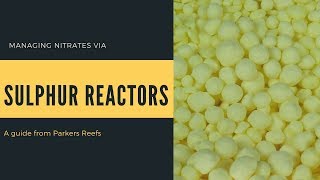 Using a Sulphur Reactor for Nitrates [upl. by Kozloski710]