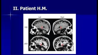 The Neuroscience of Memory [upl. by Dranoel]