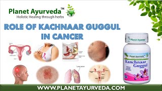 Kachnaar Guggul Cancer Natural Remedies [upl. by Chil]