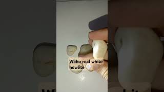 Real white howlite 🤍shortsvideo viralcrystalstone gemssemipreciousstones [upl. by Vadim]