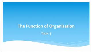 The Function of Organizing in PPM [upl. by Lorenzana]