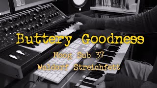 quotButtery Goodnessquot  Moog Sub 37 amp Waldorf Streichfett Demo by Mike Pensini [upl. by Ailices364]