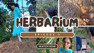 l Herbarium l Episode 3 l bamscollegelife l  bamsstudentlife l [upl. by Enenaej]