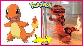 POKEMON In Real Life  Guess the Pokemon by Emoji 🔥⚡ [upl. by Arielle]