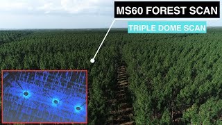 Leica MS60 Multistation  Dome LIDAR Scan of a Forest [upl. by Eugilegna]