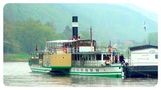 Schaufelraddampfer  PD Pillnitz  sächsische Dampfschiffahrt  historic paddle steamer [upl. by Airbmat]