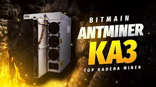 BITMAIN ANTMINER KA3 166THS Review  Top Kadena Miner [upl. by Drugge106]