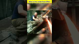 What is the Leidenfrost EffectLeidenfrost Effect কি❓ [upl. by Ahsele]