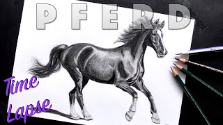 PFERD realistisch Zeichnen  Horse time lapse drawing  zeichnen lernen helfen [upl. by Nodrog]