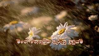 Mage Nethu Piya  Sinhala Christian Song [upl. by Snebur484]