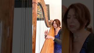 Bach  Gounod  Ave Maria  Harp [upl. by Hinkle]