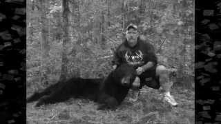 2012 Wisconsin bear season [upl. by Idell]