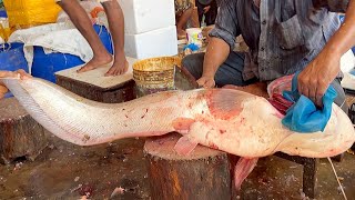 Amazing Giant Wallago Attu Boal Fish Cutting In Fish Market  Fish Cutting Skills [upl. by Heinrick]