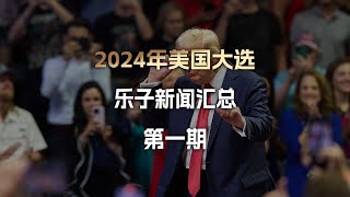 2024年美国大选乐子新闻汇总第一期 [upl. by Prescott]