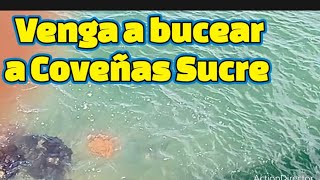 Venga a bucear y a pescar con arpón en Coveñas Sucre [upl. by Enelegna]