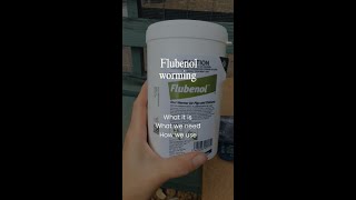 Chicken Worming using Elanco Flubenol wormer [upl. by Johnny]