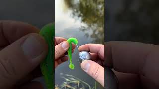 Soft Bait Rigging Technique with Round Jig HeadFishingTips SoftBait JigHead FishingGear [upl. by Vandervelde537]