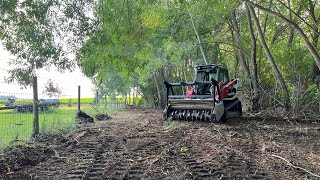 MULCHING FENCE LINE amp BETWEEN HUGE WILLOW TREES W TAKEUCHI TL12 amp FAE MULCHER [upl. by Gustafson]