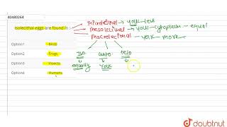 Isolecithal eggs are found in [upl. by Bunns]