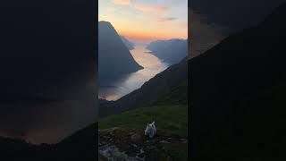 Sunset in the Sunnmøre Alps💙 norway mountains nature hiking westie travel dog [upl. by Tedi]