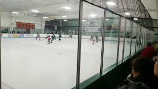 Zionsville Hockey Club Live Stream [upl. by Neruat66]