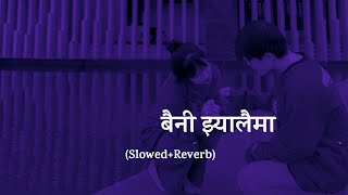 Baini Jhyalaimaslowedreverbबैनी झ्यालैमा By Love Songs R E V E R B [upl. by Liddie]