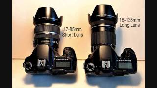 Canon Lens EFS 1785mm IS USM VS EFS 18135mm IS [upl. by Granthem]