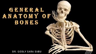 GENERAL ANATOMY OF BONES anatomy bones osteology generalanatomy [upl. by Hatty152]