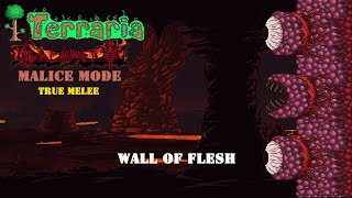 Terraria Calamity Malice mode True melee Wall Of flesh [upl. by Manuel]