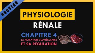 Physiologie Rénale  Chapitre 4  La filtration glomérulaire et sa régulation [upl. by Enitram57]