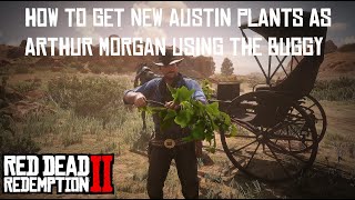 How to get the New Austin Plants and complete Herbalist 9 as Arthur in Chapter 2  RDR2 [upl. by Gytle]