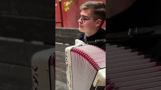 French waltz musette on accordion [upl. by Mckinney377]