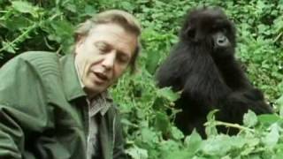 Sir David Attenborough  The story behind Life on Earth  BBC [upl. by Ahsilla]