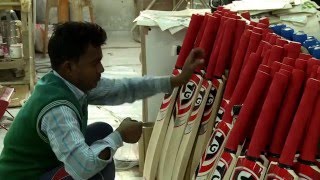 How a cricket bat is made BBC Hindi [upl. by Derinna]