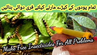 How To Make Organic Pesticide For All Plants  Podon Ke Keery Marne Ka Spray Bnane Ka Tarika [upl. by Katherin513]