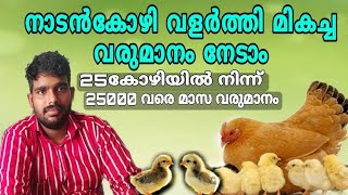 Nadan kozhi valarthal  Chicken Farming Desi Poultry Farming Malayalam [upl. by Atiloj786]