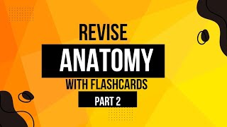 Anatomy FlashcardsUpper limb neetpgrevision inicetflashcards [upl. by Fawnia737]