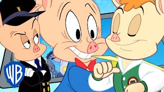 Looney Tunes  Best of Porky Pig  WB Kids [upl. by Retep469]