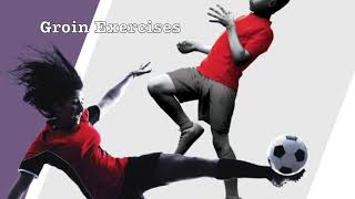 Groin Exercises for Soccer Players [upl. by Esilanna]